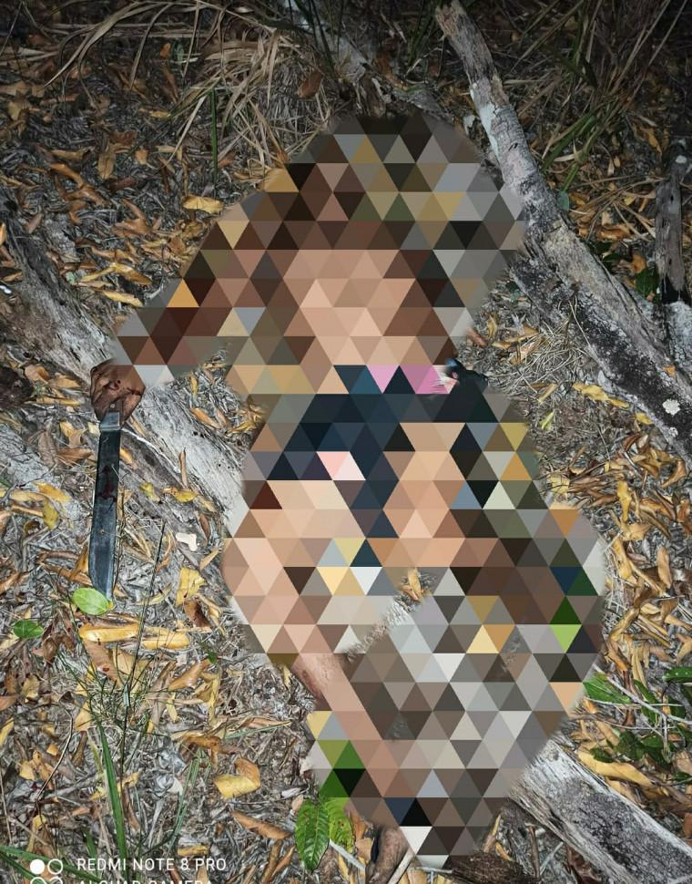 Dono de chácara atira e mata homem que teria invadido propriedade para furtar porco