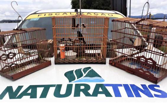 Aves e apetrechos de pesca predatória na Operação Piracema são apreendidos pela Polícia e Naturatins