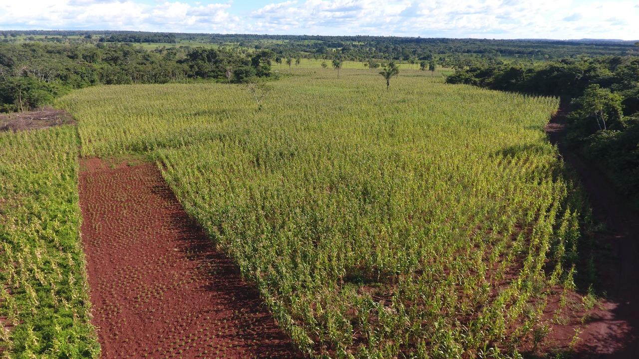 Prefeitura de Angico incentiva pequenos agricultores do Povoado Mato Redondo