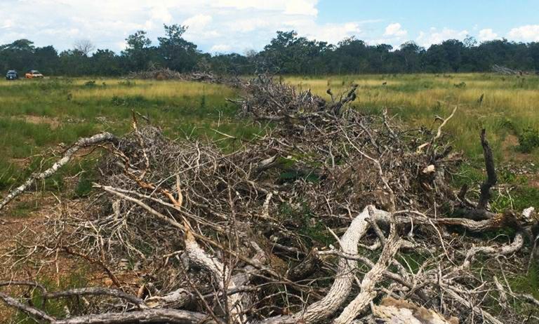 Ações de fiscalização coíbem pesca predatória, desmatamento ilegal e tráfico de aves no Tocantins