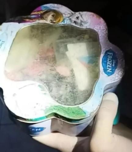 Polícia Federal cumpre mandado de prisão preventiva contra acusado de pedofilia em Araguaína
