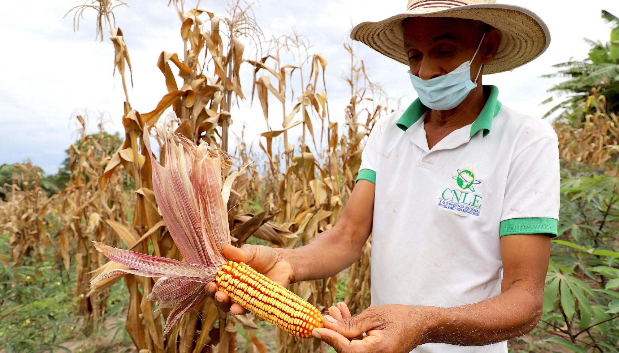 Fatores climáticos e localização geográfica fazem do Tocantins uma das últimas fronteiras agrícolas do mundo Fatores climáticos e localização geográfica fazem do Tocantins uma das últimas fronteiras agrícolas do mundo