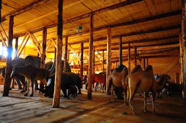 Milionário evangélico gasta R$ 8,5 milhões e 20 anos construindo réplica da Arca de Noé