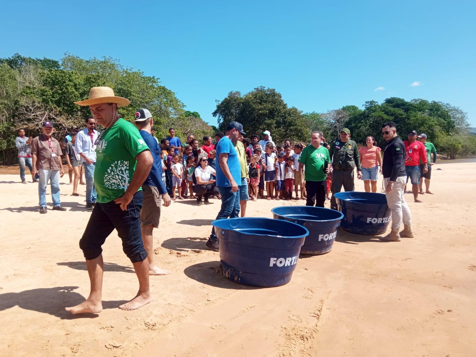 Mais de 6 mil quelônios são soltos no Araguaia pelo  Instituto Ambiental Xambioá (IAX) 
