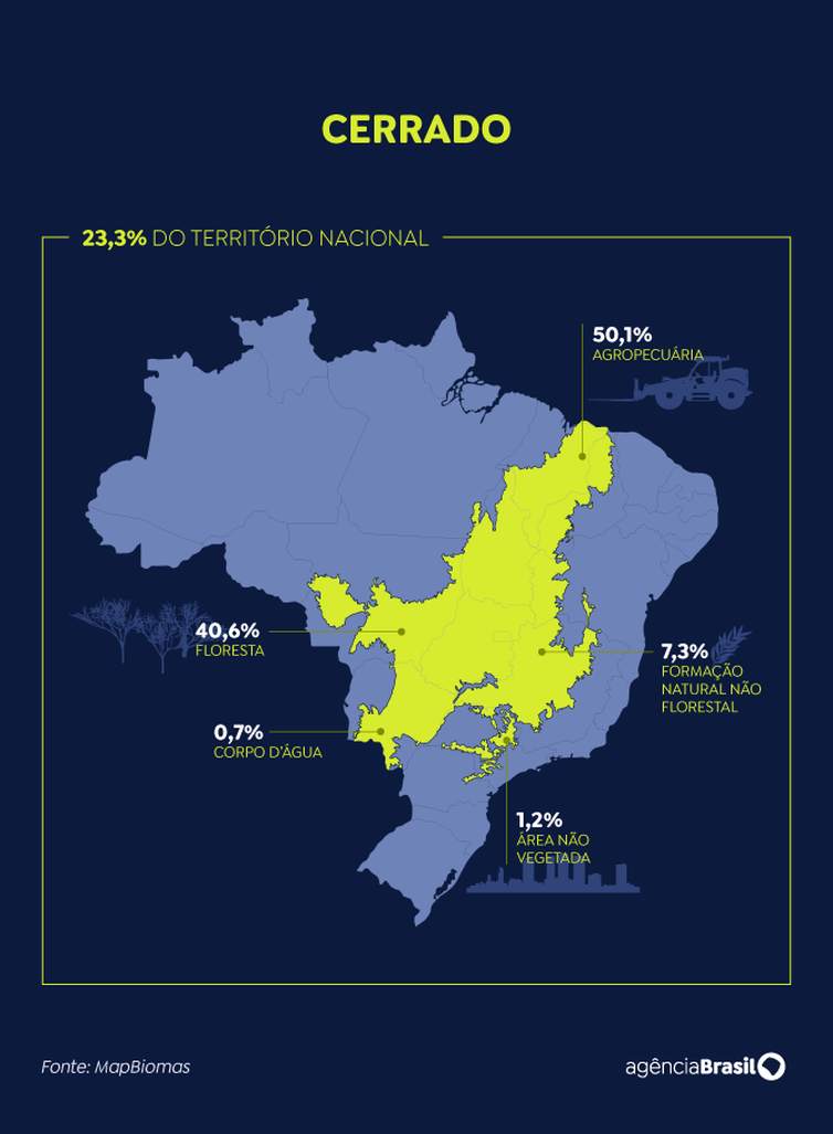Olhar voltado para a Amazônia ameaça sobrevivência do Cerrado