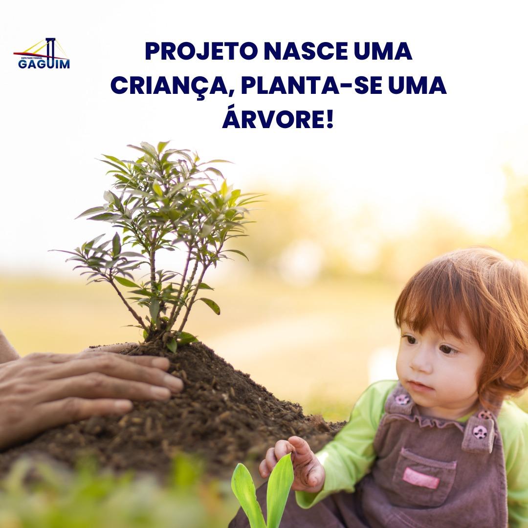 Deputado Carlos Gaguim propõe projeto de lei para preservar o meio ambiente e promover a educação ambiental.