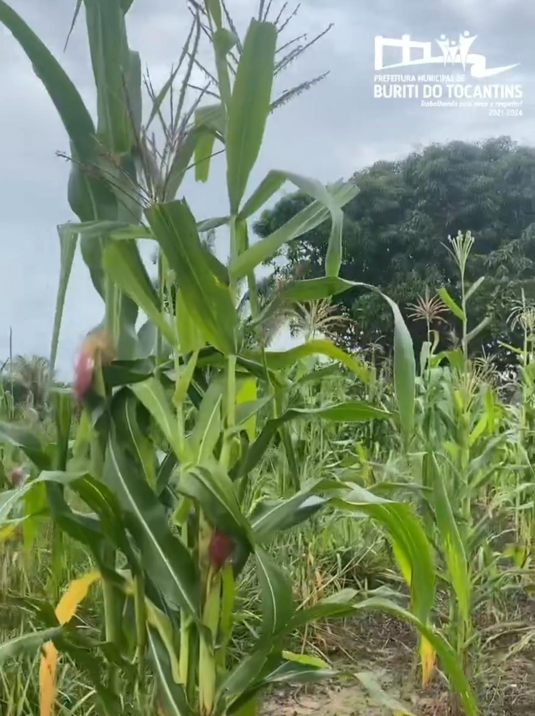 Prefeita Lucilene Brito destaca obras e ações realizadas em 2023 para Buriti do Tocantins